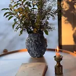 Cozy In The Heart Of Mols Bjerge Close To And Nature * Ebeltoft